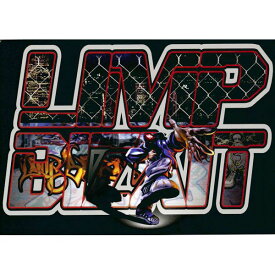 【メール便送料無料】 リンプ・ビズキット【Limp Bizkit】ポストカード　通販　　プレゼント