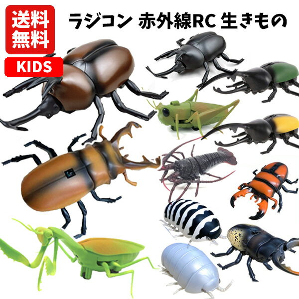 【送料無料】ラジコン 赤外線RC 生きもの | カブトムシ クワガタ カマキリ バッタ エビ ダンゴムシ カブト虫 ダンゴ虫 昆虫 生物 リアル おもちゃ 知育 玩具 室内遊び キッズ 子供 男の子 保育園 幼稚園 小学生 小学校 プレゼント ギフト 誕生日 クリスマス 2000