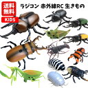 ロボット 【送料無料】ラジコン 赤外線RC 生きもの | カブトムシ クワガタ カマキリ バッタ エビ ダンゴムシ カブト虫 ダンゴ虫 昆虫 生物 リアル おもちゃ 知育 玩具 室内遊び キッズ 子供 男の子 保育園 幼稚園 小学生 小学校 プレゼント ギフト 誕生日 クリスマス 2000