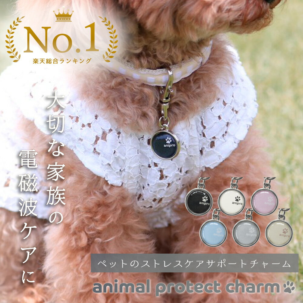 【期間限定SALE！対象商品15％OFF★5/27(月)01:59迄】 animal protect charm | 電磁波防止チャーム ペット用品 電磁波 電磁波防止 電磁波防止グッズ 健康 犬 猫 小型犬 ペット 首輪 キーホルダー ハーネス リード チャーム グッズ おしゃれ かわいい