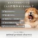 【店内全品ポイント5倍★5と0の付く日4/30(火)23:59迄】 animal protect charm | 電磁波防止チャーム ペット用品 電磁波 電磁波防止 電磁波防止グッズ 健康 犬 猫 小型犬 シニア ペット 首輪 キーホルダー ハーネス リード チャーム おしゃれ かわいい 日本製 3