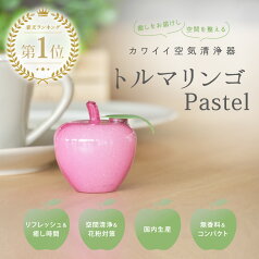 【今なら1,000円ポッキリ＆送料無料★4/27(土)09:59迄】 トルマリンゴ Pastel | 癒し 癒しグッズ リラックス 消臭 脱臭 トルマリン マイナスイオン インテリア インテリア雑貨 雑貨 置物 オブジェ グッズ 小型 りんご かわいい ギフト 1,000円 ポッキリ 送料無料