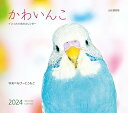 カレンダー2024 かわいんこ インコと小鳥のカレンダー（月めくり/壁掛け） (ヤマケイカレンダー2024)の商品画像