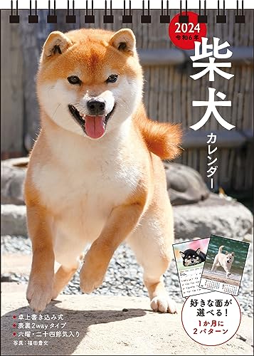 【S3】　2024　柴犬カレンダー　卓上書き込み式　［B6タテ] (永岡書店のカレンダー)の商品画像