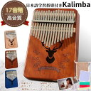 カリンバ 楽譜 カリンバ 17 キー 初心者セット Kalimba C調 日本語学習指導 カリンバ 初心者セット 楽器かりんば 入門書付き 初心者向けの楽器セッ...