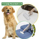 ぱくぱくローラー 掃除ローラー ケース付き ほこり取り ペット 毛 取り 抜毛取り 猫 の 毛 掃除 カーペット の 毛 【即納】取り お掃除ローラー ラグ ソ...