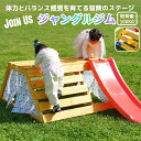 \最短当日発送/大型遊具 屋外遊具 ジャングルジム 滑り台 室外内 木製 天然木 耐荷重100KG 室内ジム 遊具 スギ材 すべり台 アウトドア 遊園地 幼稚園...