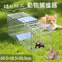\新発売/ 営業日12時までの注文で当日出荷 /動物捕獲器 安全な猫捕獲 保護器 折り畳み 踏み板式 アニマルトラップ 野良猫 ねこ 迷子猫 イタチ 罠 捕獲カゴ 小動物保護かご コンパクト収納 畑 庭 家庭菜園 農場 作物保護 害獣駆除