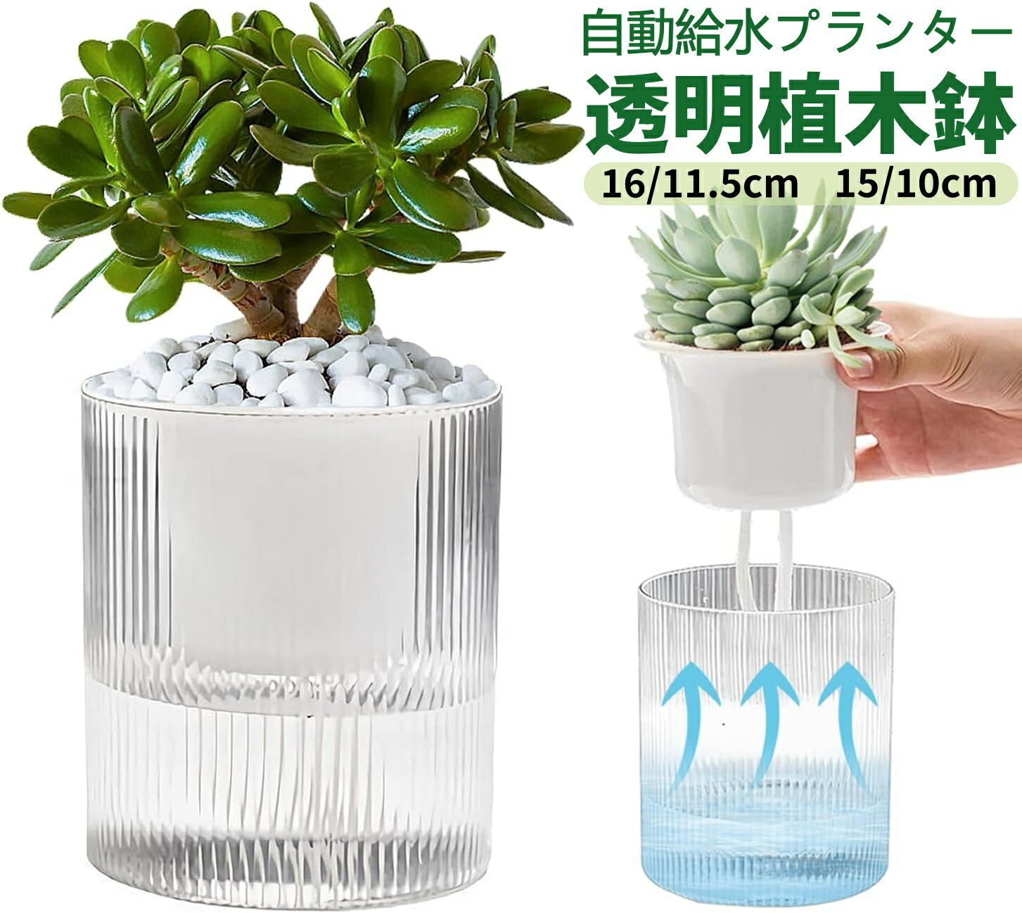 この商品について 【留守中でも観葉植物に水やり出来る】自動給水の植木鉢は上層（植栽部）と下層（貯水部）が分離されたデザインで土の水分を保つと同時に、土が濡れすぎて植物の根が腐ってしまうこともない。水分が綿ロープを通して観葉植物に徐々に供給するため、数日～数週間の水やり不要で、出張や旅行など数日出かけても観葉植物が枯れる心配はありません。 【水位チェックが簡単】植木鉢は透明の外観で、水の残量を一目で確認でき、補充のタイミングが分かりやすく、水やりの頻度や量を気にせず、植物の育成が可能で、初心者にとても優しいです。透明素材のモダンなデザインで、自宅やオフィスなどさまざまなシーンにマッチし、機能性と装飾性を兼ね備えています。 【優れた通気性】給水プランターの底は複数の空気穴があり、通気性が抜群で、植物の根に酸素を供給し、根の機能を維持することができます。 【優れた耐久性】高品質な素材を採用し、無色・無臭で環境にとても優しいです。または、プラスチック製で陶器鉢より割れにくく、耐久性に優れます。 【2種類サイズ】2個セット、小・大の各サイズに1個ずつ、綿ロープ付き。ご購入する前に、プランターのサイズをご確認してください。小鉢、大鉢の二つサイズから自由に選び、蘭、サボテン、ミント、アロエなどさまざまな種類の植物に適用です。更にシンプルでおしゃれなデザインで、屋内および屋外での使用に最適です。 【注意事項】 ※画像はご覧になっているモニターやPCなどの環境により 実物と多少カラーが異なる場合がございます。 ※ページに記載の通りですが 製造時期や改良などによって仕様が若干異なる場合がございますので何卒ご了承下さい。 ※基本的には全国一律送料無料と対応させていただきますが ご送付先は沖縄 北海道など離島の場2500-3000円の送料をご請求させていただきます ご注文後追加送料があります。 ※色味やサイズが異なるなどのクレームはご対応致しかねますので ご了承ください。 ※商品のサイズは採寸方法によって 若干な誤差が生じる場合はあります。ご了承ください。 ※こちらの対応と商品について何かご不満がありましたら 「レビュー」を付ける前に一度ショップとご連絡してお願いいたします ショップの誠意を持って最後まで対応させていただきます。 【品質保証】 ◎※販売している商品は全て新品未使用です 倉庫から出荷前に商品検査必要ですので 商品箱を開封する場合もございます 予めご了承くださいいませ。 ◎※初期不良の場合は到着後3営業日以内にご連絡ください。 ◎※初期不良の場合は写真やビデオをご提供下さい 確認後無料で新品交換もしくは御返金致しますのでご連絡下さい。 ◎※写真やビデオをご提供出来ない場合は技術者と確認できません 返品返金対応出来ない可能性が御座います 予めご了承くださいいませ。