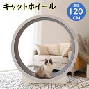 キャットホイール 猫 ランニングホイール キャットウォーク キャット 猫用回し車 ノイズなし ローラー 猫のトレッドミル 爪研ぎ キャッ..