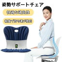 姿勢が良くなる 椅子 姿勢矯正 イス 姿勢サポートチェア 骨盤矯正 立てる 姿勢 よくなる ゆがみ 解消 背もたれ チェア 座椅子 デスクワーク サポーター 持...