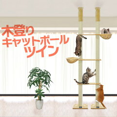 https://thumbnail.image.rakuten.co.jp/@0_mall/happy11/cabinet/master/1st/a02323.jpg