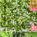【5,390円→SALE5,170円〜7/11(金)01:59まで】グリーンフェンス 緑のカーテン 1m×2m 2個組 目隠し グリーンカーテン 目隠しフェンス...