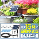 happy11:10015990のサンプル画像1