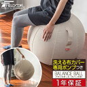 FIELDOOR バランスボール 65cm 洗えるファブリックカバー&ハンドポンプ付き 耐荷重150kg アンチバースト仕様 フィットネス エクササイズ 体幹トレーニング ヨガ ストレッチ 筋トレ ヨガボール フィットネスボール ジムボール 1年保証 ●[送料無料]