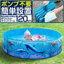 プール ビニールプール 1.2m 空気入れ不要 折りたたみ 直径120cm×30cm 丸形 排水口付き ポンプ不要 レジャープール 家庭用プール キッズプール ...