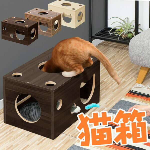 1年保証 猫 おもちゃ 猫箱 ボックス ベッド 遊び ねこ ネコ 玩具 オモチャ 小屋 室内 ストレス発散 運動不足 対策 多頭飼い シニア キャット 猫用 猫ベッド ペット用品 ペットグッズ ●[送料無料]