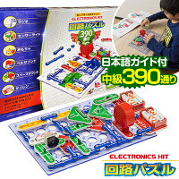 遊んで学べる電子ブロック 小学校高学年がはまりそうなのは 遊んで学べる電子ブロック 小学校高学年がはまりそうなのは