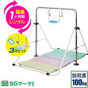 【レンタル】【延長1ヶ月】RiZKiZ 鉄棒 室内 折りたたみ鉄棒 1ヶ月レンタル 信頼 安全SGマーク取得 逆上がり てつぼう おりたたみ 折り畳み 耐荷重1...