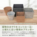 happy11:10016107のサンプル画像3