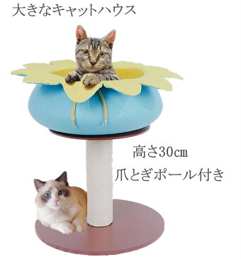 小型キャットタワー 爪とぎポール 猫ベッド 猫ハウス 花 天然サイザル麻 両用ベッド 省スペース 転倒防止 広い見晴らし台 安定性抜群 遊び場 組み立て簡単 高さ30cm