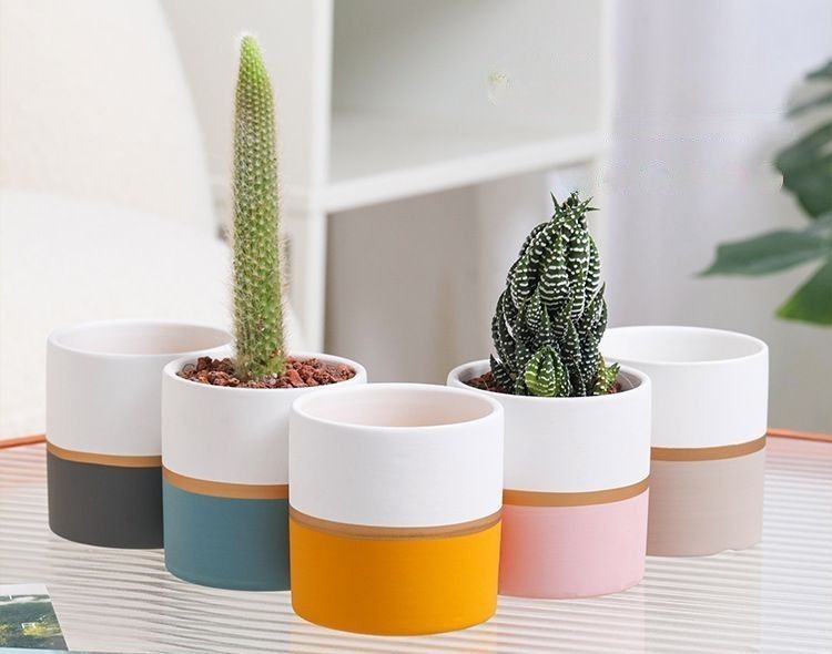 植木鉢 フラワーポット 陶器 円形 ラウンド型 観葉植物 多肉植物 サボテン 小さめ 小さい 窓際 窓辺 園..