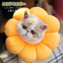 エリザベスカラー ペット用品 傷舐め防止 軽量 術後 傷口保護 介護 避妊 術後ウェア 皮膚病 手術後のケアに ひまわり型 通気性 安心感 軽量 かわいい ソフト ペット用品 猫用 兔用 小型犬用 イエロー 虹柄 S M L XL cw030h