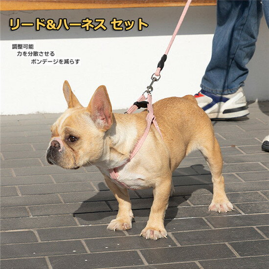 ハーネス リードセット 犬のリード ペットリード 犬猫兼用 散歩 小型犬 ペット リード付き ペット用品 おしゃれ 可愛い ベスト 軽量 調節可能 胴輪 安全 通気性 胸あて式 引っ張り防止 簡単着脱