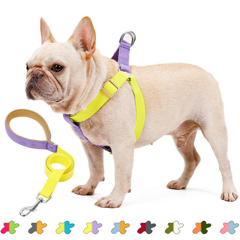 楽天HappyAliceハーネス リードセット 犬のリード ペットリード 犬猫兼用 散歩 小型犬 ペット リード付き ペット用品 おしゃれ 可愛い ベスト 軽量 調節可能 胴輪 安全 通気性 胸あて式 引っ張り防止 簡単着脱