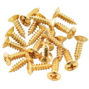 Musiclily Basic 2.5x10mm 金属 ミリ規格ピックガード ジャック ビス スレッド トラスロッドカバー ネジ エピフォンレスポールスタイルギター用 ゴールド 20個セット