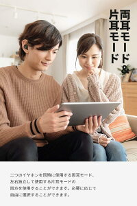 【メーカー直営・100%正規品】SoundPEATS(サウンドピーツ)完全ワイヤレスイヤホンTrueFree【30日間返品フリー&1年間メーカー保証付】【送料無料】