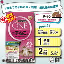 【1日はワンデー10%クーポン配布中】ピュリナワン キャット 1歳までの子ねこ用 / 妊娠・授乳期の母猫用 チキン 2kg【賞味期限 20260430】