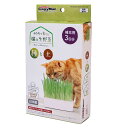 【5の日 10%OFFクーポン配布中】おうちで育てる 猫の生野菜 種と土【賞味期限 20270701】