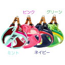 【マラソン10%クーポン配布中】パステルボーダー ソフトハーネス M グリーン(4)