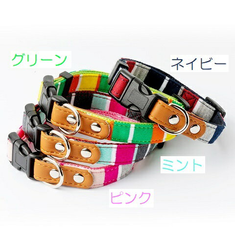 【マラソン10%OFFクーポン】パステルボーダー ワンタッチカラー SS ミント