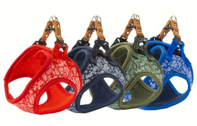 【ブラックフライデー15%OFFクーポン配布中】ペイズリー ソフトハーネス SM ブルー