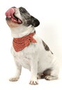【買い物マラソン10%クーポン配布中】Dog Amo.k バンダナ 唐草 小判 S/M/L レッド/グリーン/ネイビー ( S レッド )