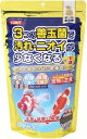 【マラソン10%クーポン配布中】COMET 金魚の主食 納豆菌 中粒 430g【賞味期限 20270731】