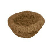 【ブラックフライデー15%OFFクーポン配布中】ココナッツ　皿巣