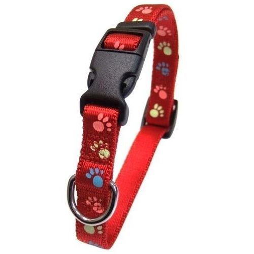 【ブラックフライデー15%OFFクーポン配布中】蓄光フットカラー＃20