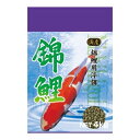 【マラソン10%クーポン配布中】錦鯉【賞味期限 20261031】