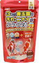 【マラソン10%クーポン配布中】金魚の主食 納豆菌 色揚げ中粒【賞味期限 20270531】