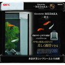 【ハッピーベル】グラステリア メダカ 横見