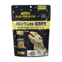 【マラソン10%OFFクーポン配布中】RepDeli バグプレミアム【賞味期限 20260930】