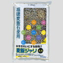 【ハッピーベル】麦飯ジャリ