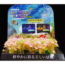 【マラソン タイムS15%OFFクーポン配布中】NAP‐244 ルミナスプランツ マット 2