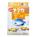 【マラソン10%クーポン配布中】メダカ川魚のエサ【賞味期限 20270219】
