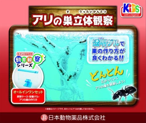 アリゲルの素A、アリゲルの素B、アリゲルの素C、飼育ケース（ふた付き）、軽量カップ、アリの巣の作り方アリゲルを作り、アリを捕まえてケースに入れると穴を掘り、巣を作ります。日本