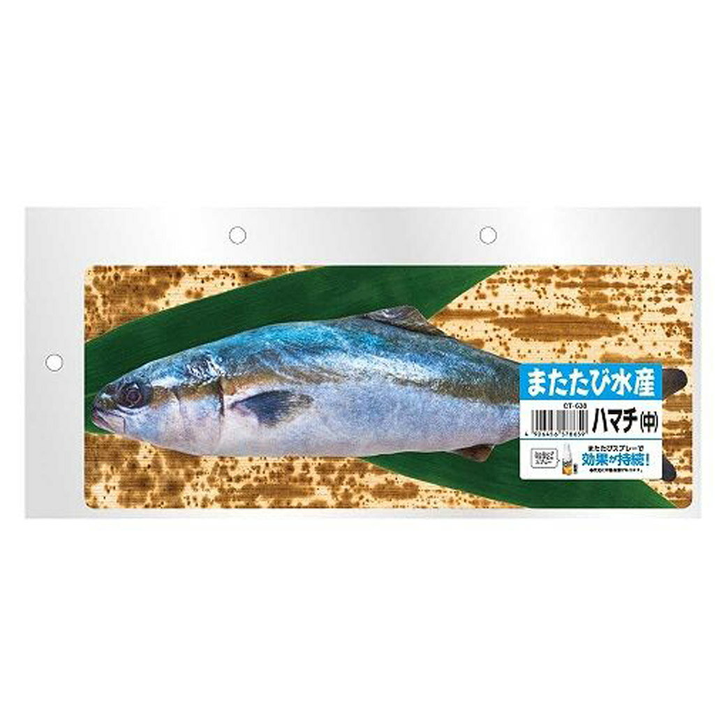 【ブラックフライデー15%OFFクーポン配布中】またたび水産ハマチ