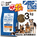 【GWお得10%クーポン配布中&2個購入で使える5%OFFクーポン配布中】セレクトバランス アダルト チキン 小粒 1才以上の成犬用 3kg【賞味期限 2026...